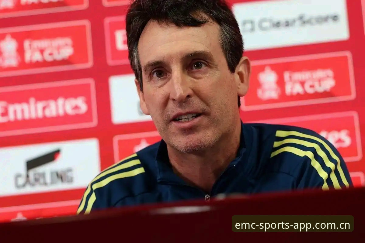 EMC体育使用教程 欧联杯决赛复盘:埃梅里夺冠背后的数据解读与观赛实用技巧